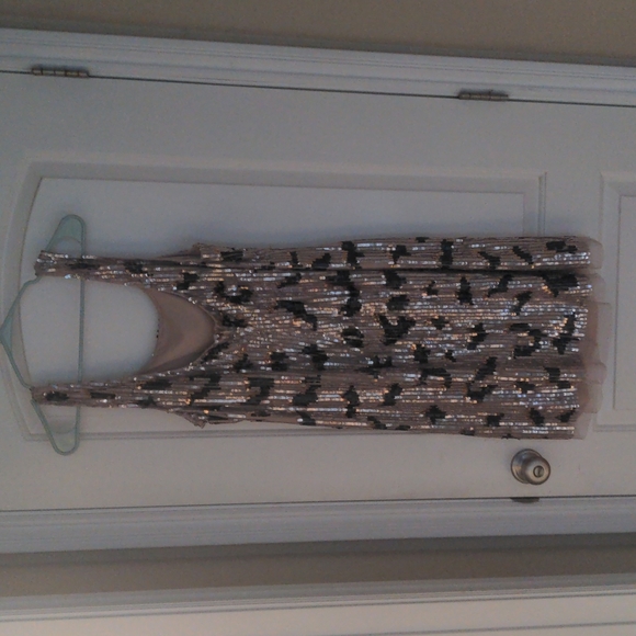 BRAND NEW WITH TAGS Adrianna Papell Beaded Mesh Dress - Picture 3 of 12